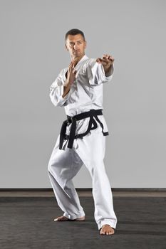 An image of a martial arts master