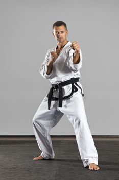 An image of a martial arts master