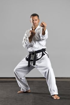 An image of a martial arts master