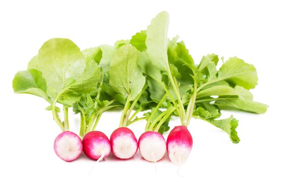 A bunch of fresh garden radishes over white background