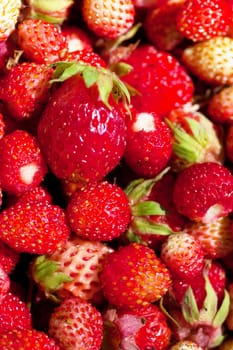 Macro view of a heap of fresh strawberries