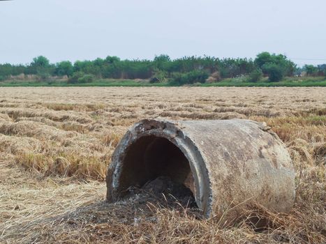 Defective cement pipe on the field.