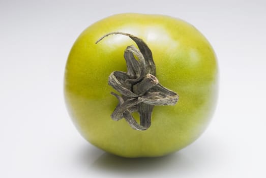 Green tomato shot against white background