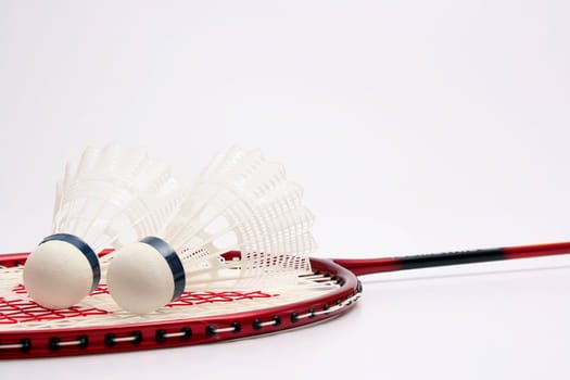 White shuttlecocks for badminton and a racket.