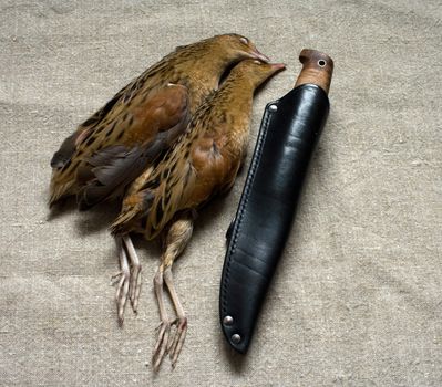 Knife in leather scabbards and two corn-crakes.