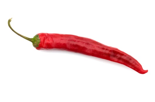 Red hot pepper isolated on a white background, a close up.