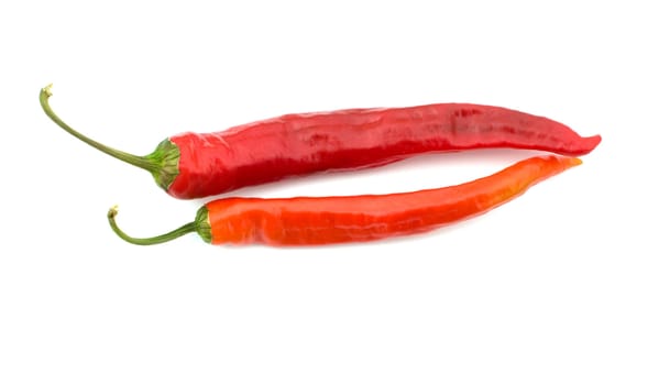 Red hot pepper isolated on a white background, a close up.
