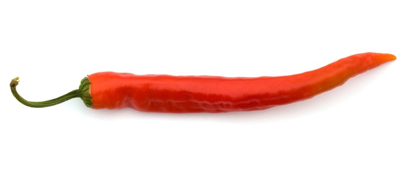 Red hot pepper isolated on a white background, a close up.
