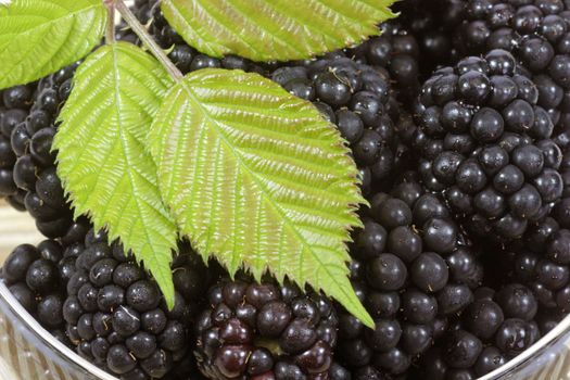 Fresh blackberries with leaves in a glass over white background