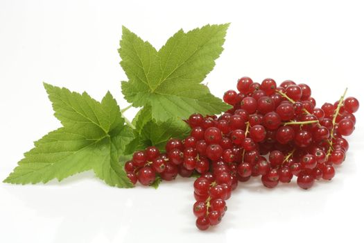 Fresh red currants with currant leaves over white background