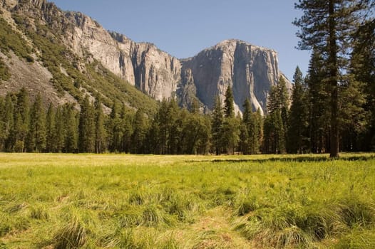 summertime view across Yosemite valley towards El Capitan and the east.
