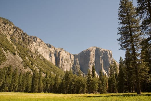 summertime view across Yosemite valley towards El Capitan and the east.