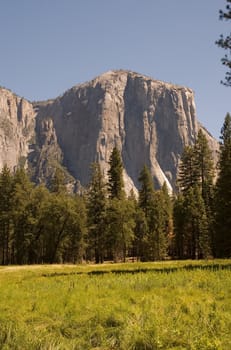 summertime view across Yosemite valley towards El Capitan and the east.