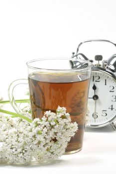 Herbal tea in a glass with valerian blossoms and alarm clock over white background