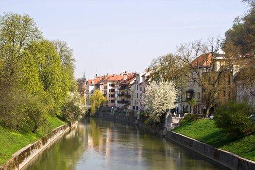 The river Ljubljanica in the Slovenian capital Ljubljana