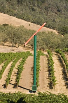 Rows of supported and trained vines in a terraced vineyard in the rolling hills of Northern California with a fan used to stop freezing