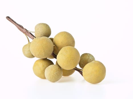 longan on white background