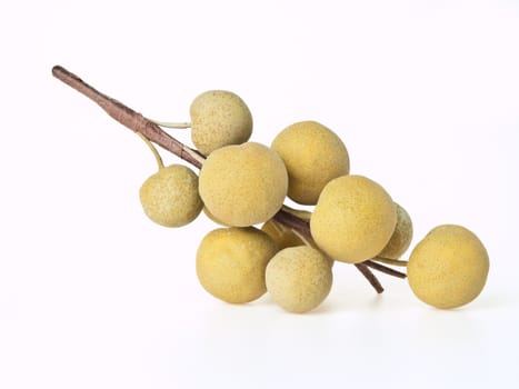 longan on white background