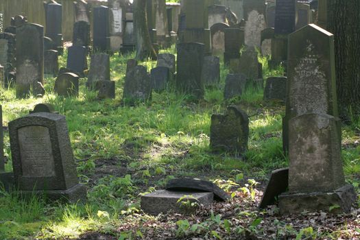 Old jewish graveyard in Hamburg, Germany. Founded 1887, last buriel was in 1941.