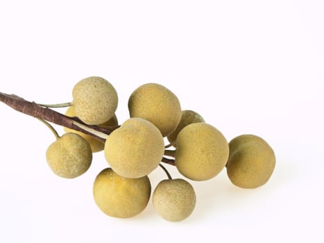 longan on white background