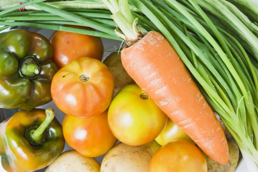 Newly harvested vegetables from the farm                                