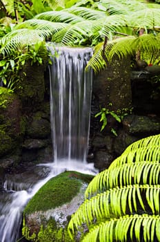 Small manmade waterfall inside a private park