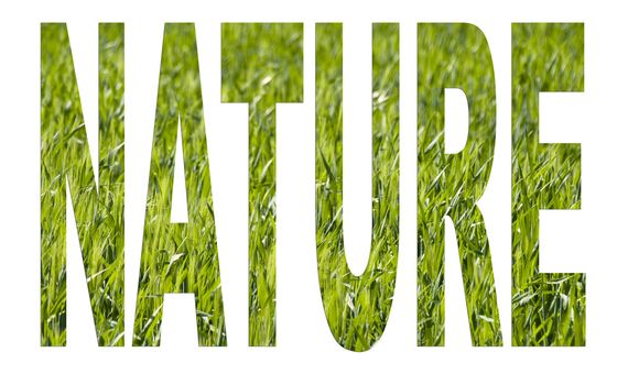 Nature  arial font made of a green wheat background