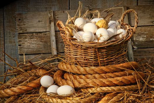 Basket of eggs on straw in the chicken coop