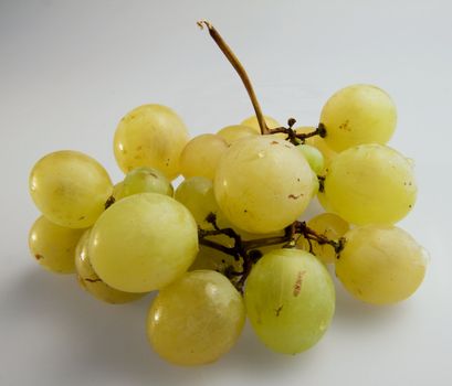 Close up of white grapes