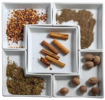 Five kind of spices over white plates