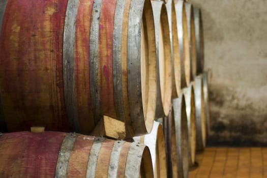 Many barrels in cellar