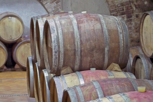 View of wooden barrels of wine in a cellar