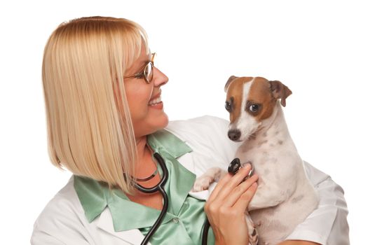 Attractive Female Doctor Veterinarian with Small Puppy Isolated on a White Background.