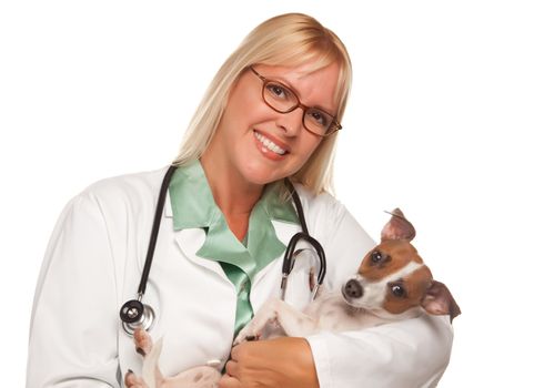 Attractive Female Doctor Veterinarian with Small Puppy Isolated on a White Background.