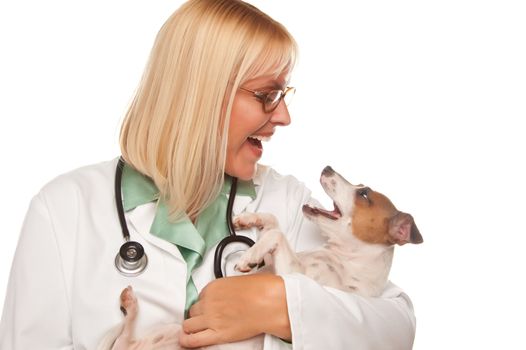 Attractive Female Doctor Veterinarian with Small Puppy Isolated on a White Background.