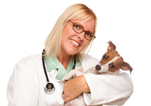 Attractive Female Doctor Veterinarian with Small Puppy Isolated on a White Background.