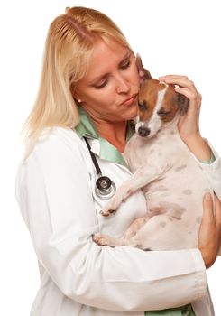 Attractive Female Doctor Veterinarian with Small Puppy Isolated on a White Background.