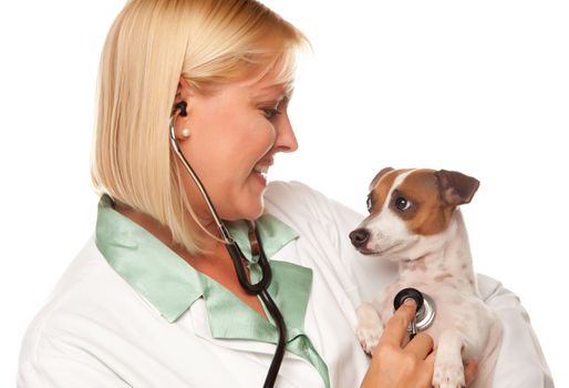 Attractive Female Doctor Veterinarian with Small Puppy Isolated on a White Background.