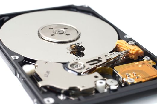 A dead fly sitting on an open SATA hard drive