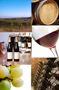 Different images of life of wine, from vineyard to bottle