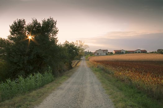 A road cuts between the fields in the country, with buildings on the background