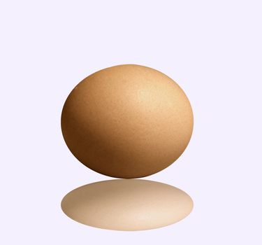 Isolated egg, white background with reflection