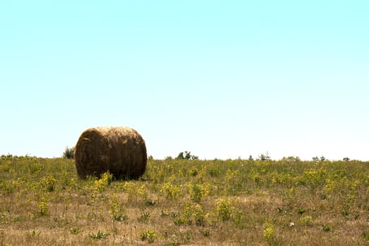 Isolated ball on a field under a blue sky