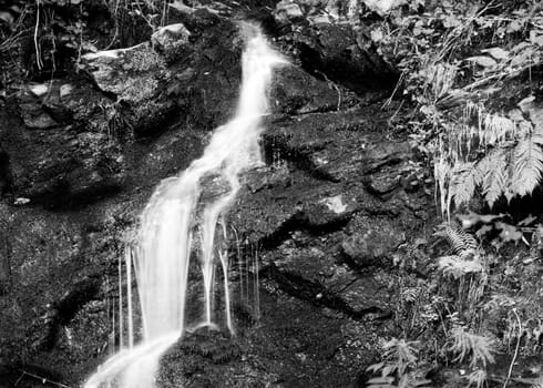 Black and white landscape with falls of a stream