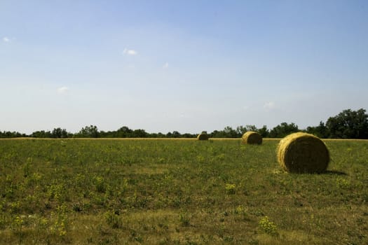 Balls on a field under a blue sky