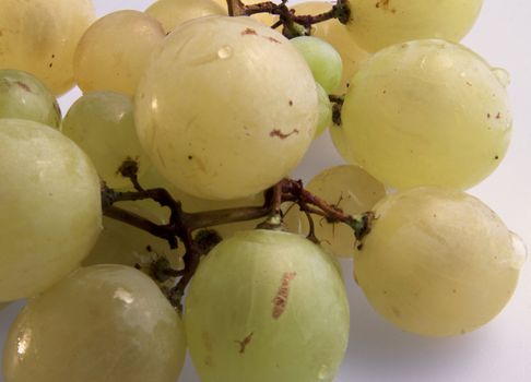 Close up of white grapes