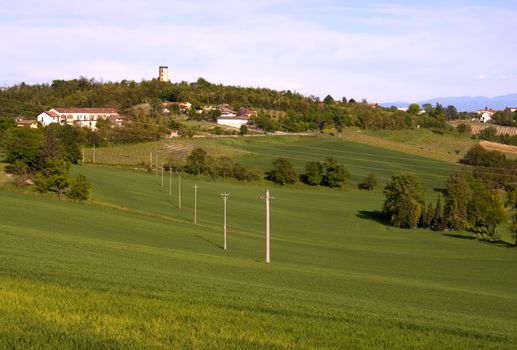 Landscape of hills with electric poles