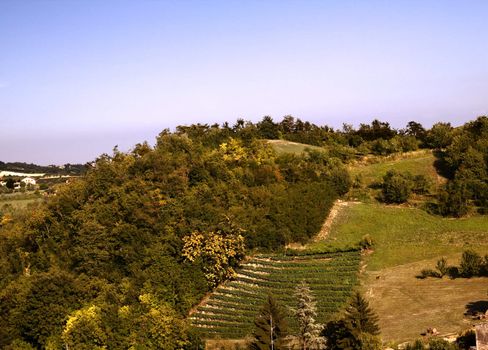 Hills and fields under blue sky