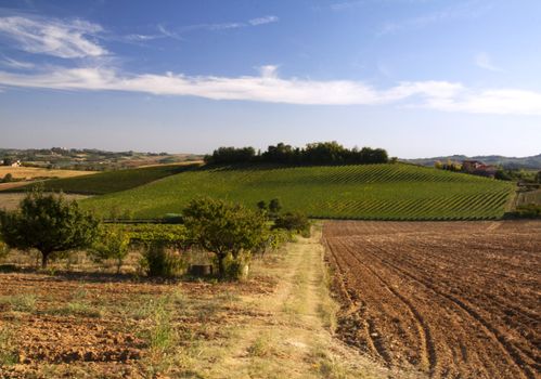 Hills and fields under blue sky