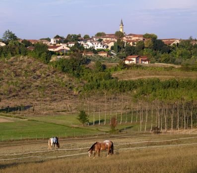 Horse standing under a landscape of a little city